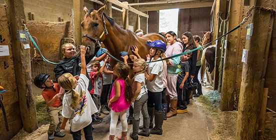 Children attend the Town of Islip Equestrian Camp groom one of the horses