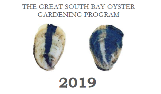 An image of 2 blue oysters