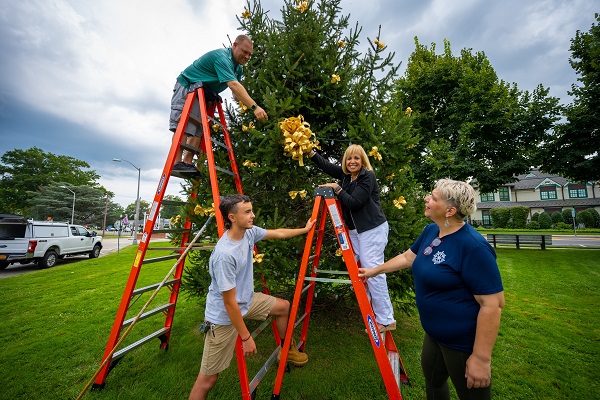 photo of a golden ribbon to symbolize awareness of Childhood Cancer. 