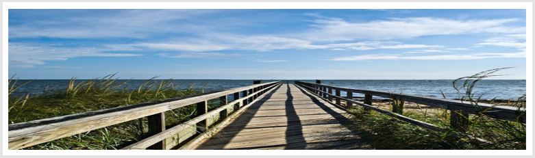 a wooden pathway through the reeds and over the dunes, disappearing with the vanishing point into the horizon, where the ocean lays