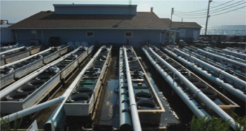 An image of the outside of the shellfish facility, with rows of cultivation equipment in the foreground.