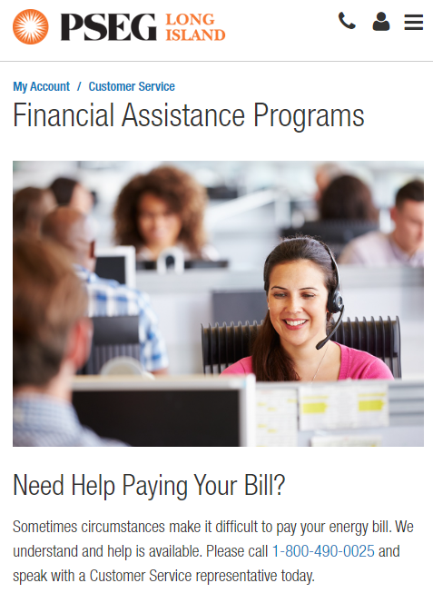 PSEG Financial Assistance stock