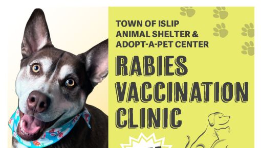 Rabiers Clinic thumbnail