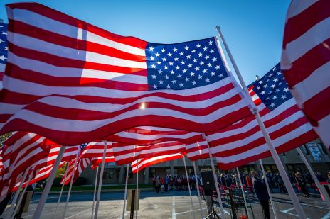 A formation of American Flags, all waving in the wind