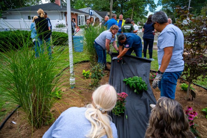 Volunteers apply weird barrier around planted greenery