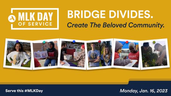 mlk day bridge divides message
