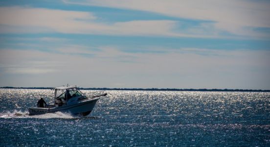 Boat on glistening water rides off into distance