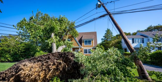 uprooted tree leans on house