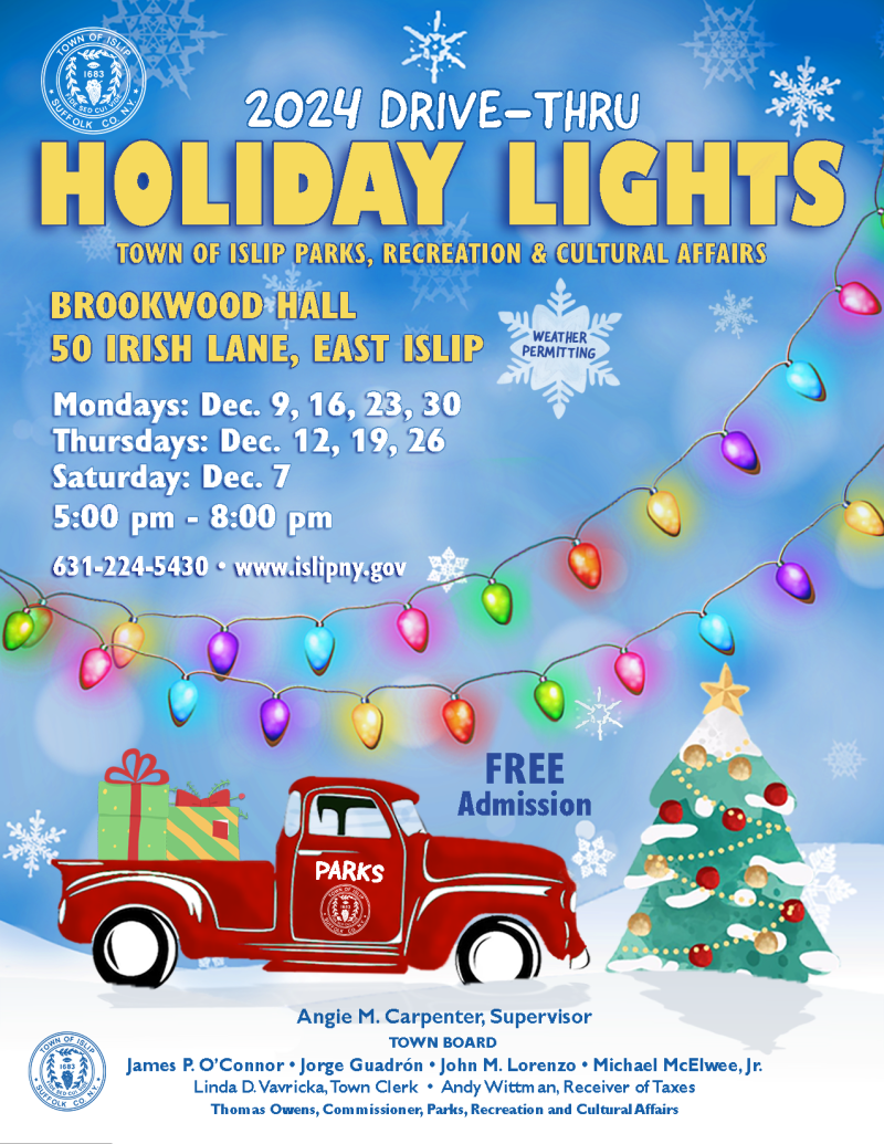 Holiday Lights 2024 copy
