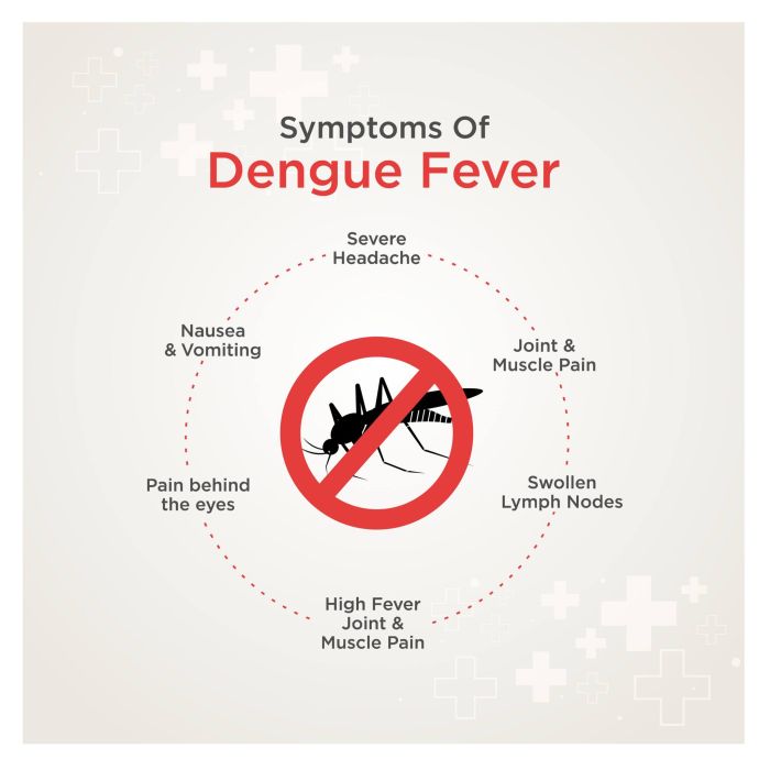 dengue virus infograph
