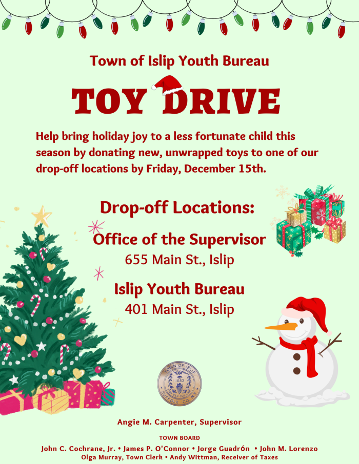 Toy Drive Flyer Toy Drive Flyer