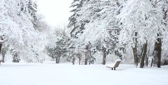 snowy park and bench