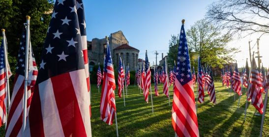 Rows of Flags on a green lawn, the golden sun setting between them casting long flow shadows