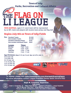 Flag On LI Flyer