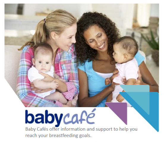 babycafe logo and image