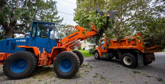 Town Clean-Up trucks and crews clear downed trees.
